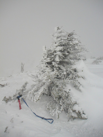 �Ő���̎��X